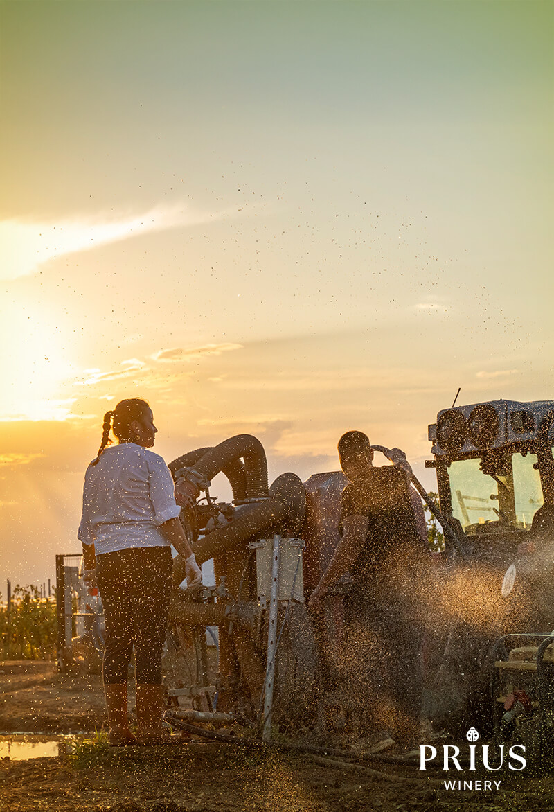 prius_winery_07