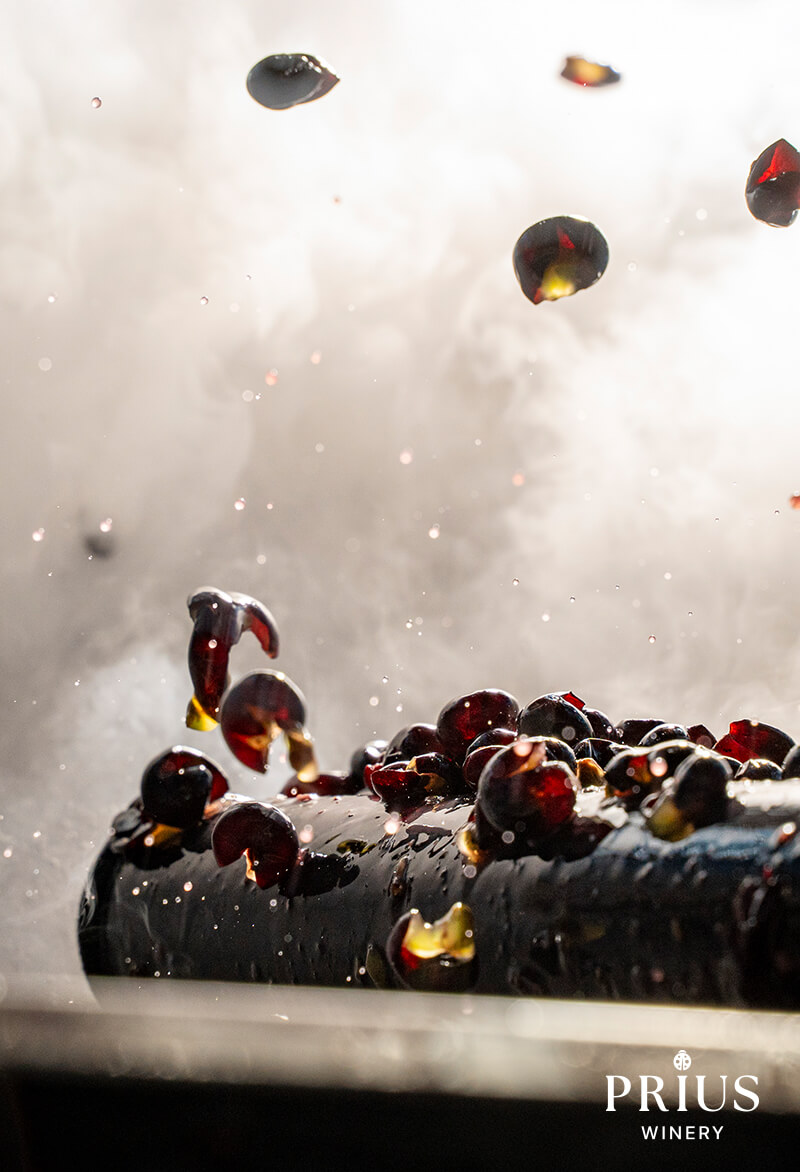 prius_winery_13